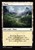Plains (foil)