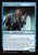 Master's Councillors (foil)