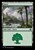 Forest (foil)