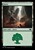 Forest (foil)