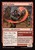 Strife Scholar