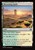 Blossoming Sands (foil)